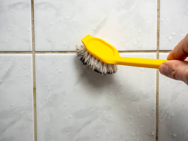 Best Mold Remediation  in Greenacres, CA