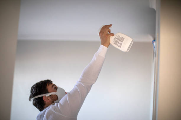 Best Professional Mold Removal  in Greenacres, CA