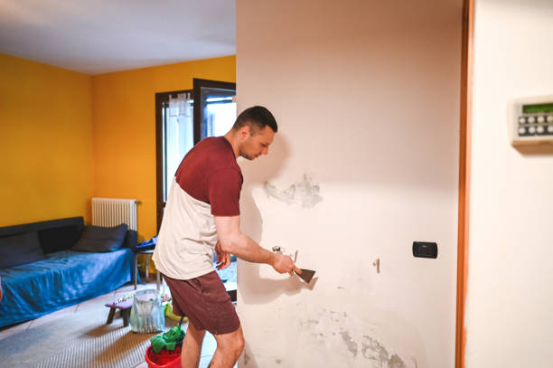 Best Mold Cleaning Services  in Greenacres, CA